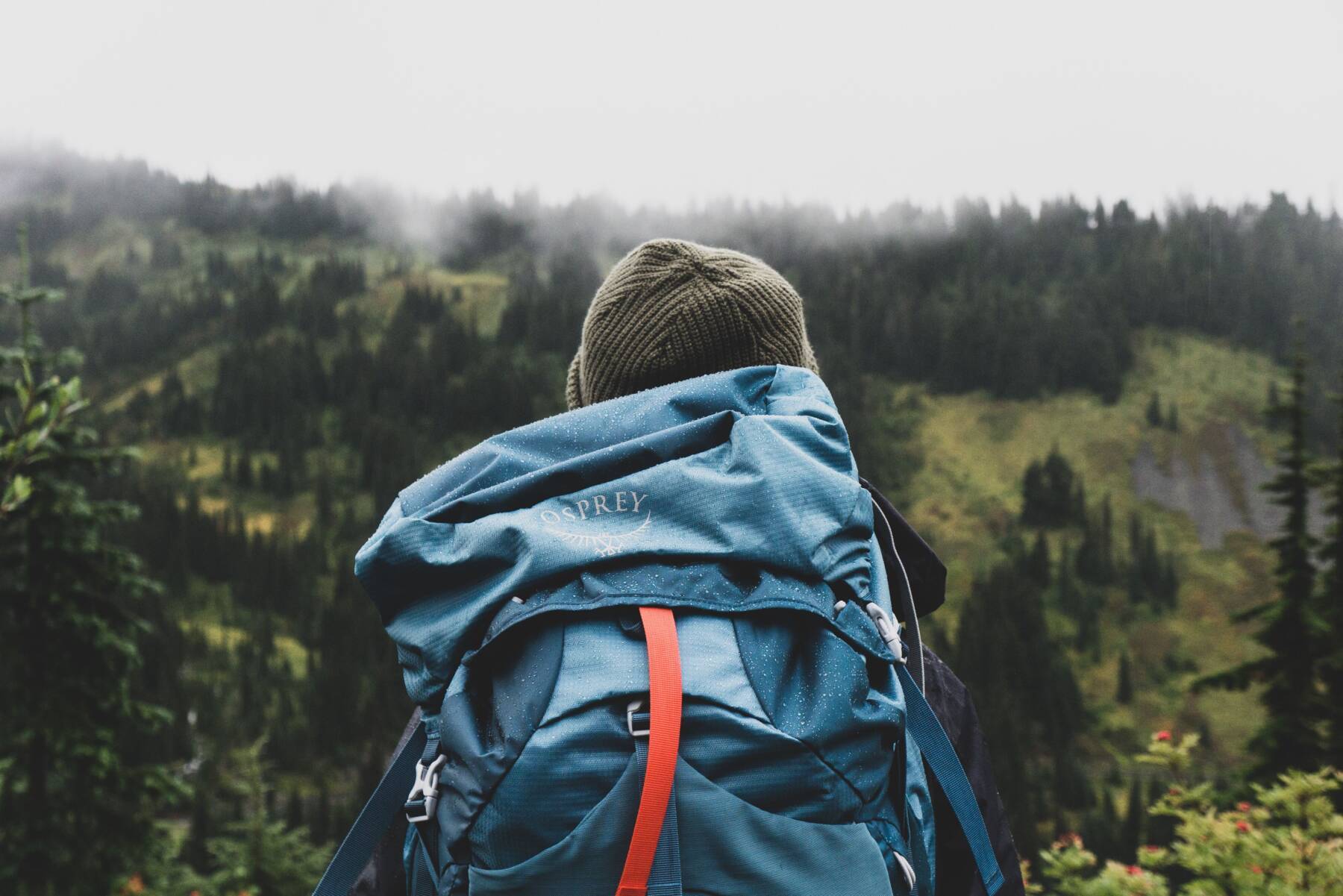 Forced to find my own identity: gap years and building resilience