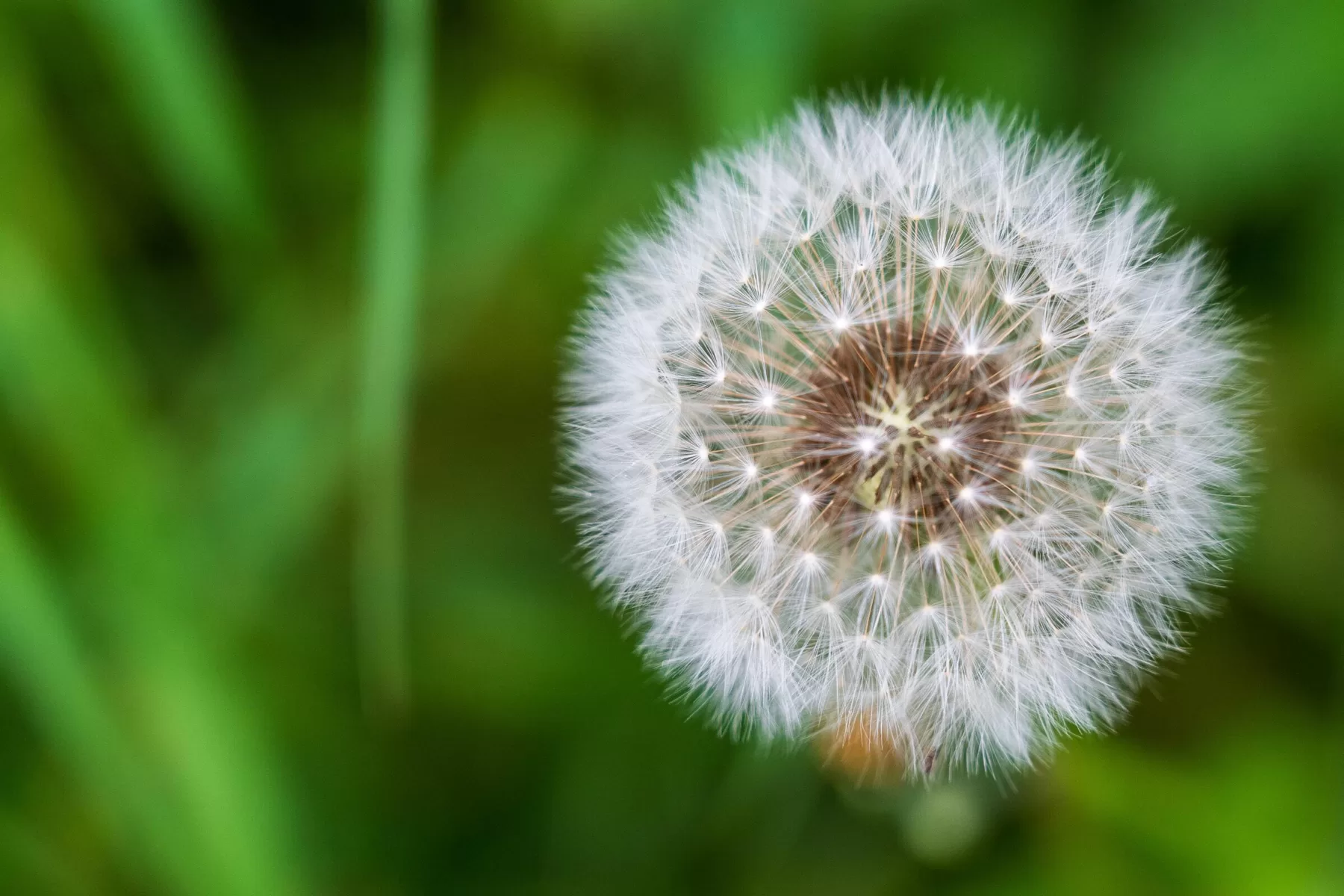 Perfectionism: is it a good thing?