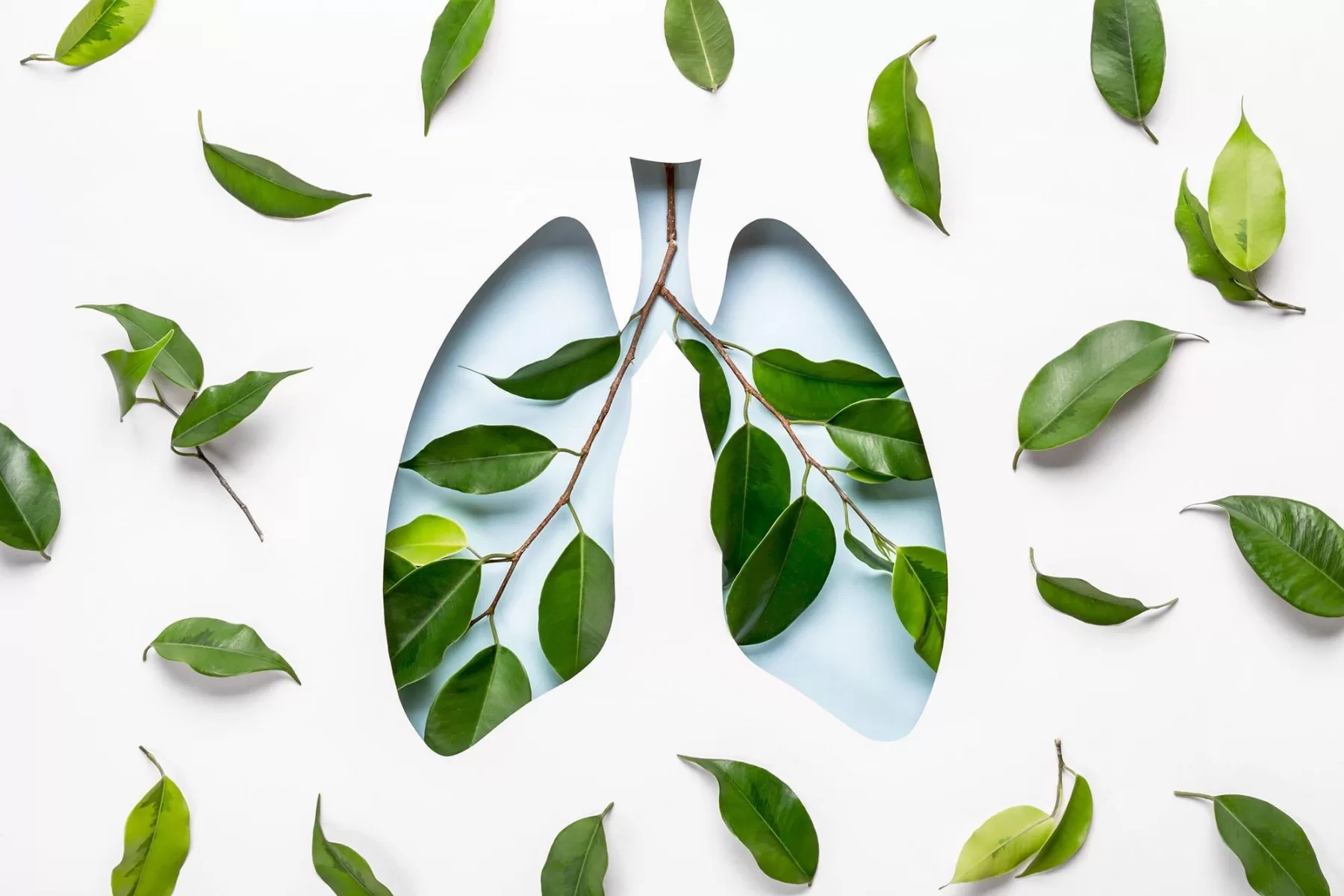 Is there such a thing as mindful breathing?