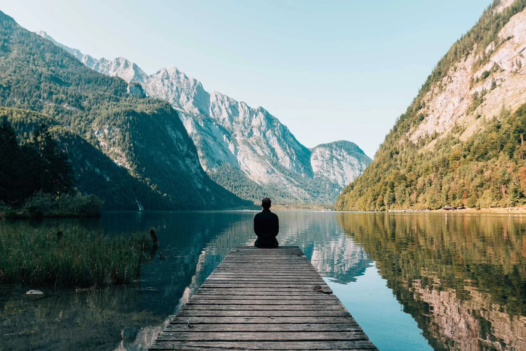 All things great and small: the trick of everyday happiness